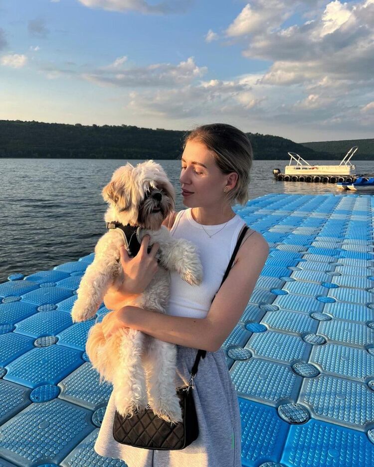  -,   , 22 ,   ,   