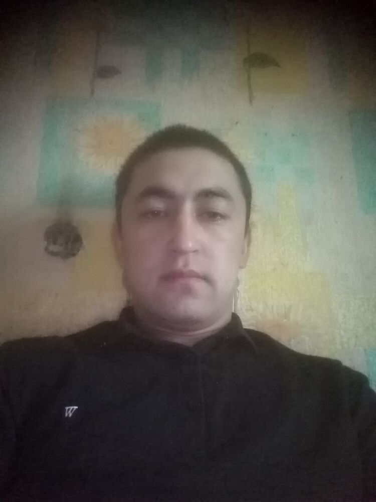  23731442  , 31 ,    