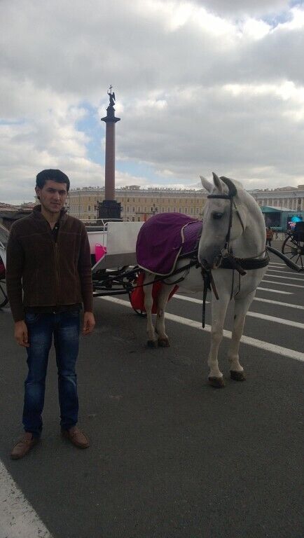  23534932  , 33 ,    -