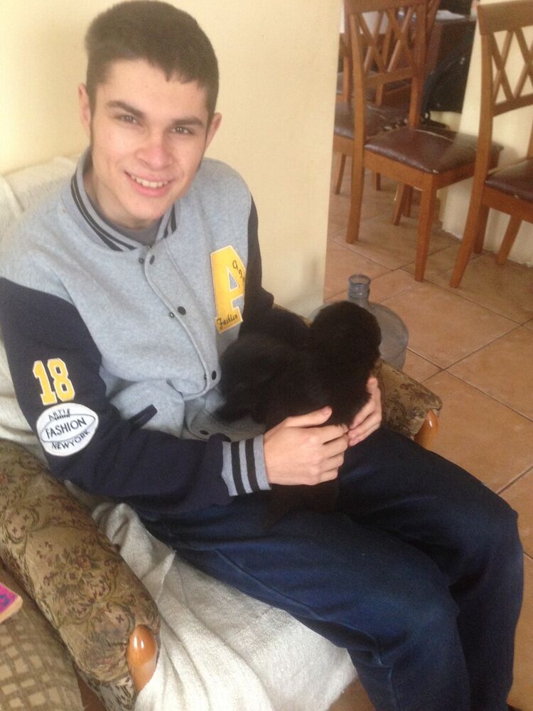  20131442  Dan art, 24 ,    