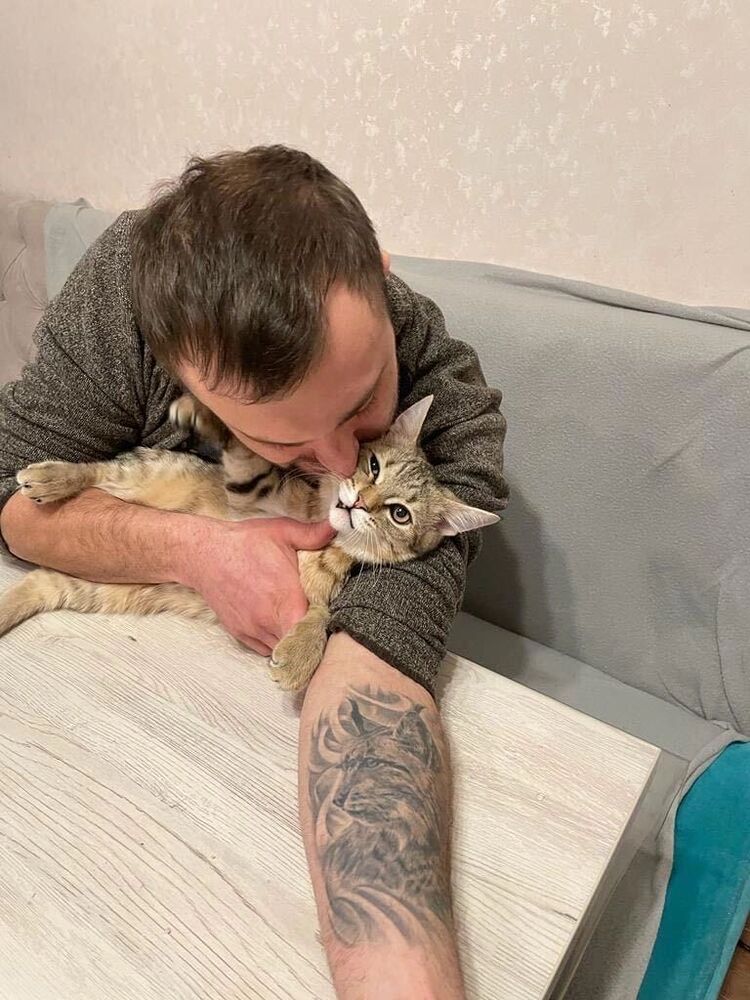 ���������� ������, ���� ������� ��onis, 38 ���, ������������ ��� ������, ����� � ���������, c�������� ���������, ���������