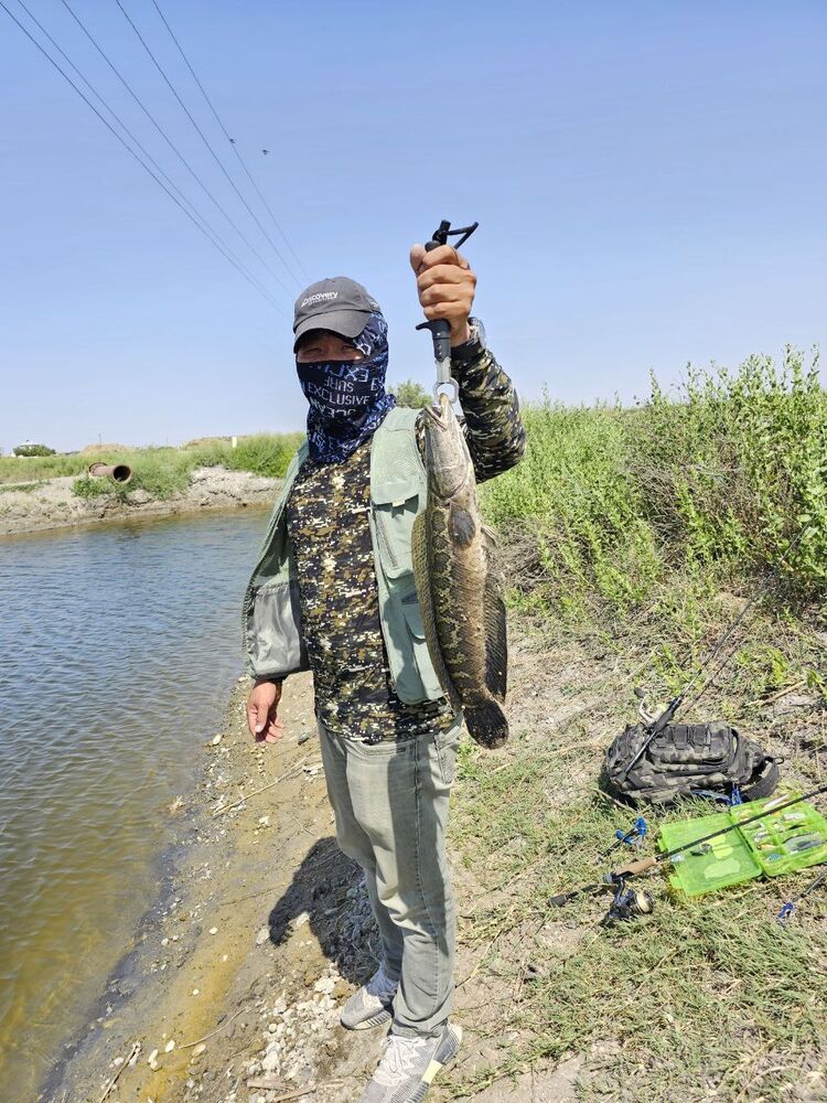 ���������� �������, ���� ������� ����, 43 ����, ������������ ��� ������, ����� � ���������, c�������� ���������, ���������