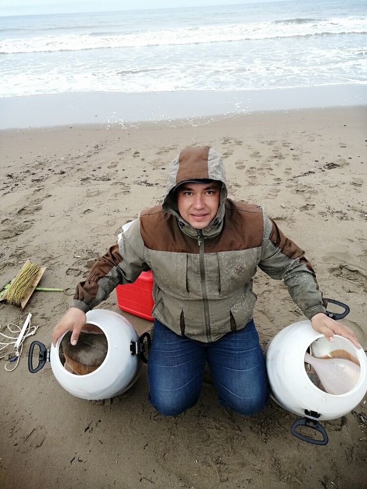  22094642  , 41 ,    -