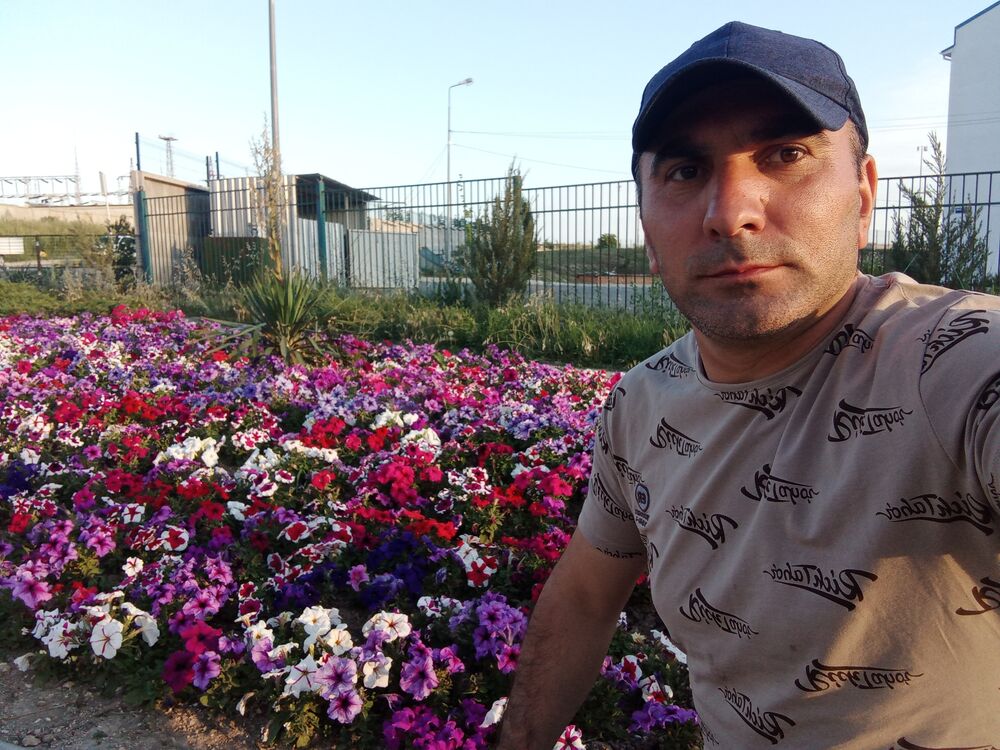 ���� 33785702 ������� ����, 42 ����, ���� ���������� � �����������