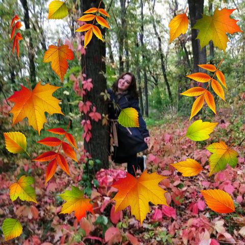 ���� 30404592 ������� �������, 42 ����, ���� ���������� � ������������