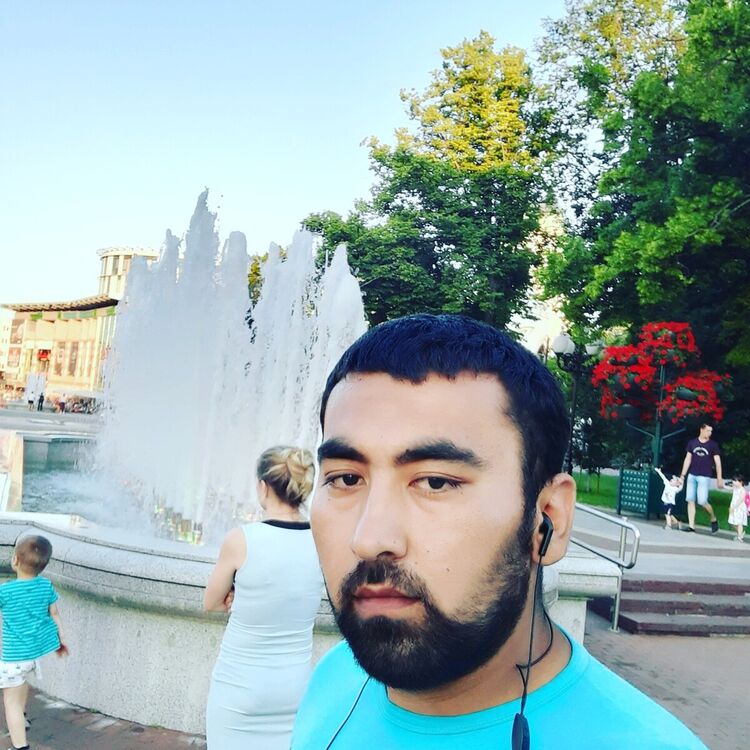  20546872  , 31 ,    