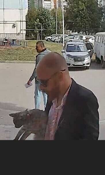 ���� 37632392 ������� �����, 48 ���, ���� ���������� � ���