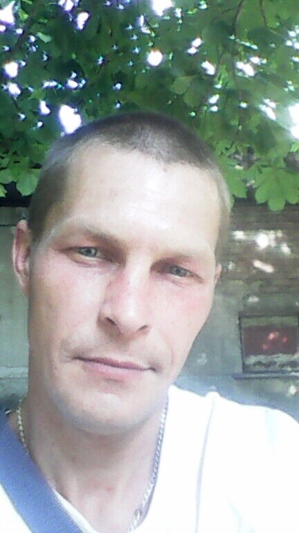  ,   ϸ, 41 ,     , c 
