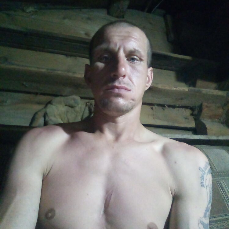  23208602  , 38 ,    