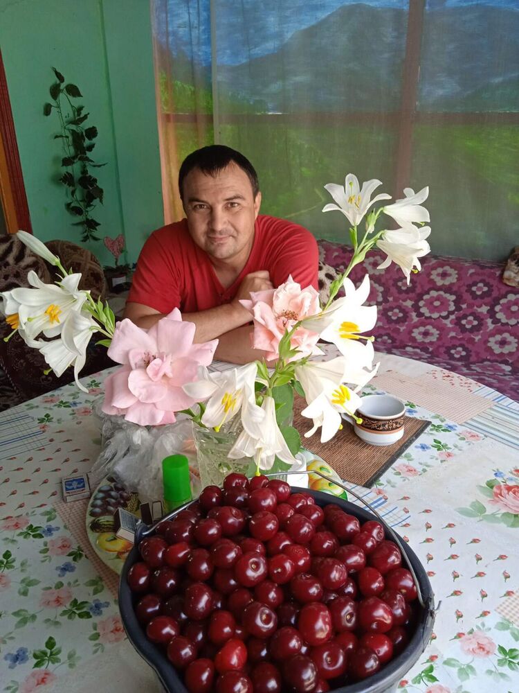  -,   , 43 ,   ,   