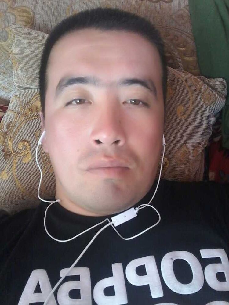  15020912  , 33 ,    