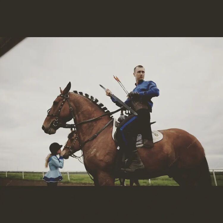 ���� 25950362 ������� ������, 31 ���, ���� ���������� � ������������