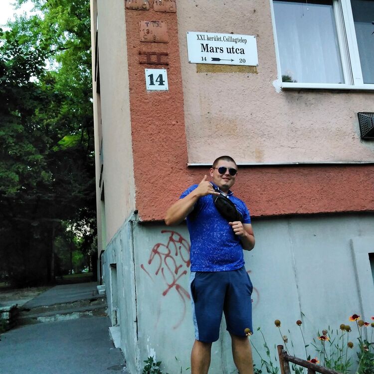  16671882  , 31 ,    