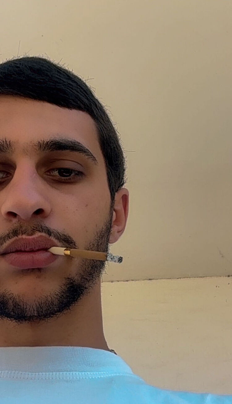 ���� 55103032 ����� Ando, 22 ����, ���� ���������� � �������