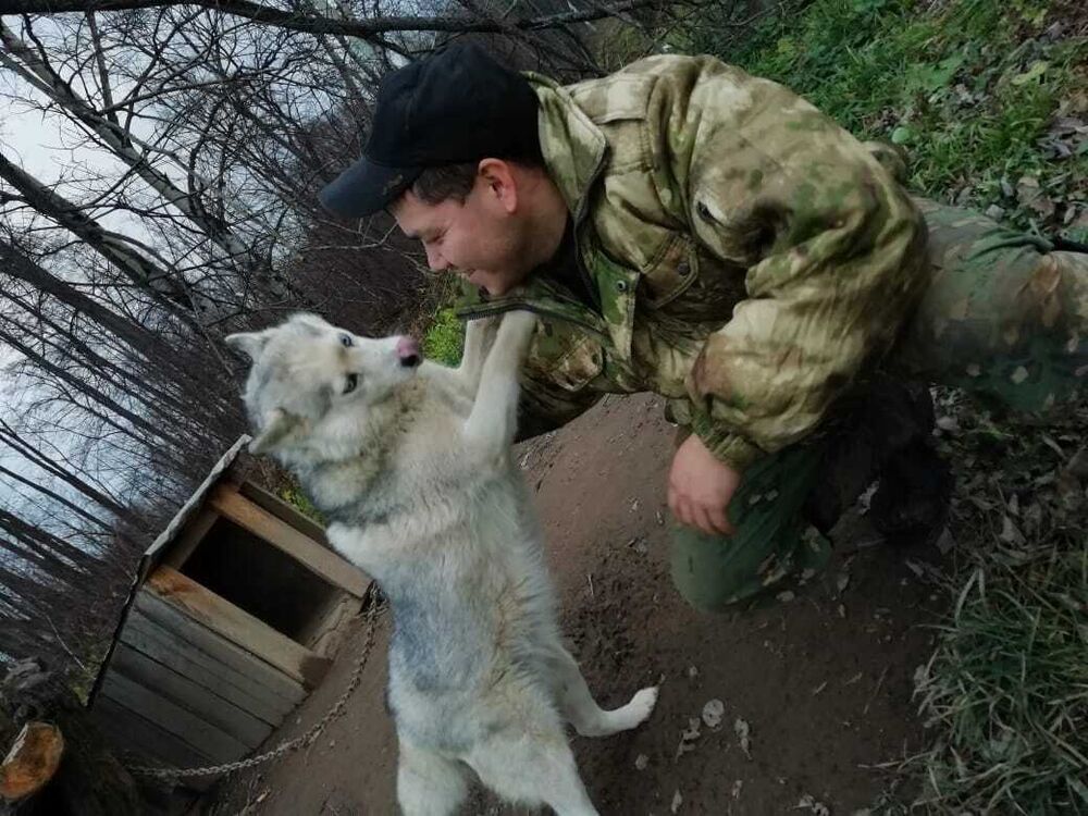 ���� 55956762 ������� ���, 34 ����, ���� ���������� � ���