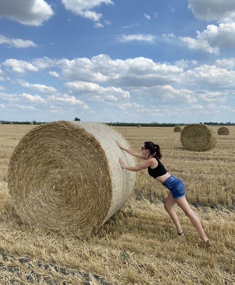  30052862  , 36 ,    