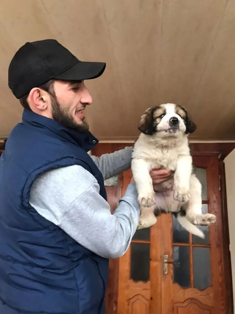 ���� 55318552 ������� ���� ����, 34 ����, ���� ���������� � �����������