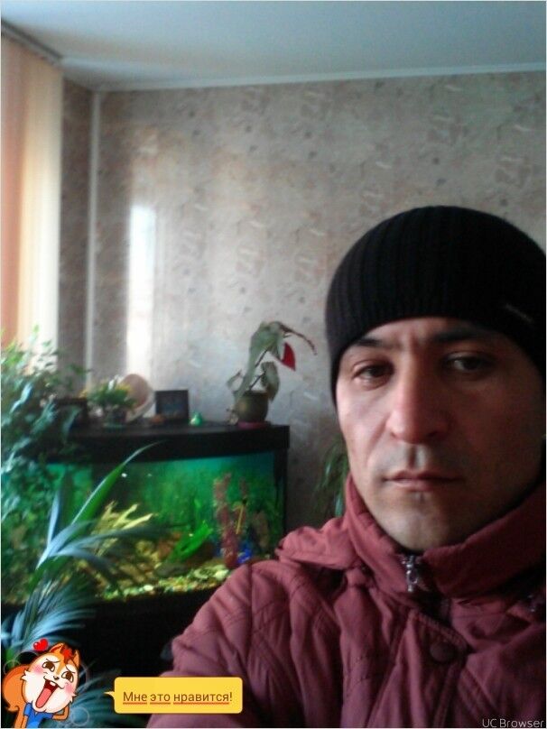  11937112  Rustik, 44 ,    