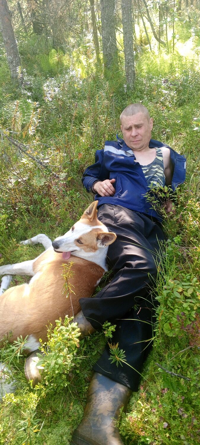 ���������� ������, ���� ������� ���������, 44 ����, ������������ ��� ������, ����� � ���������, c�������� ���������, ���������