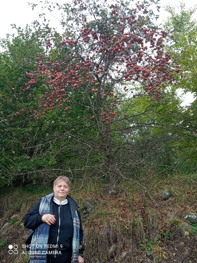 ���� 53668122 ������� ������, 67 ���, ���� ���������� � �������