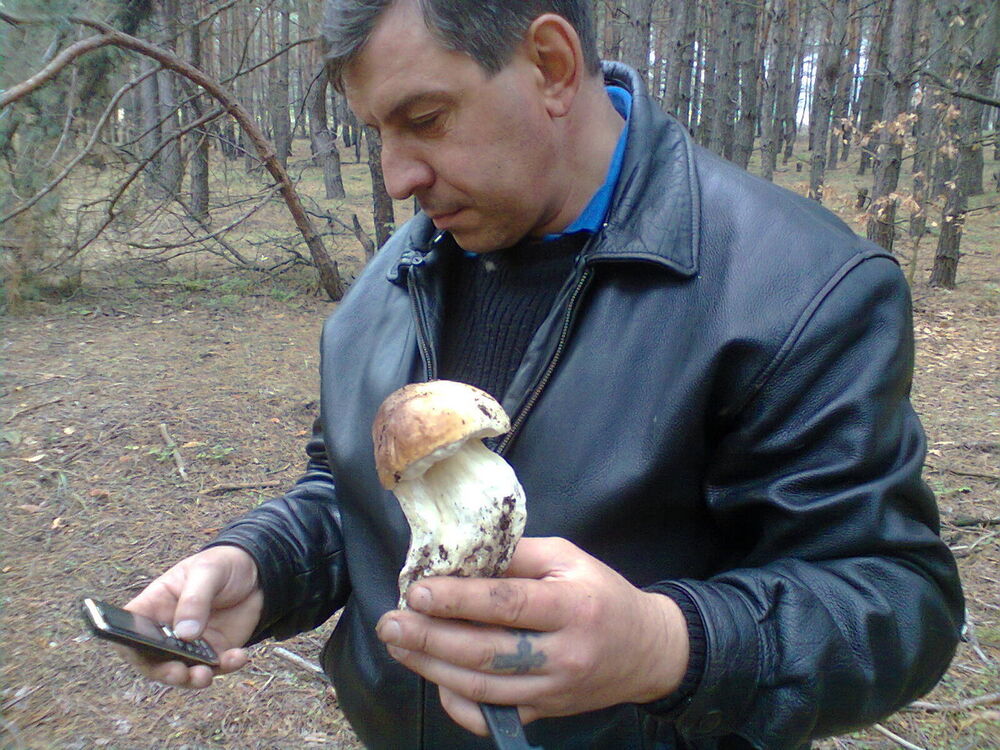 ���� 10383552 ������� ���������, 54 ����, ���� ���������� � ��������