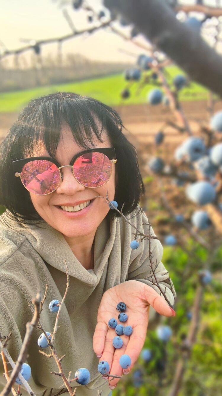 ���������� ������-��-����, ���� ������� ����, 48 ���, ������������ ��� ������, ����� � ���������, c�������� ���������