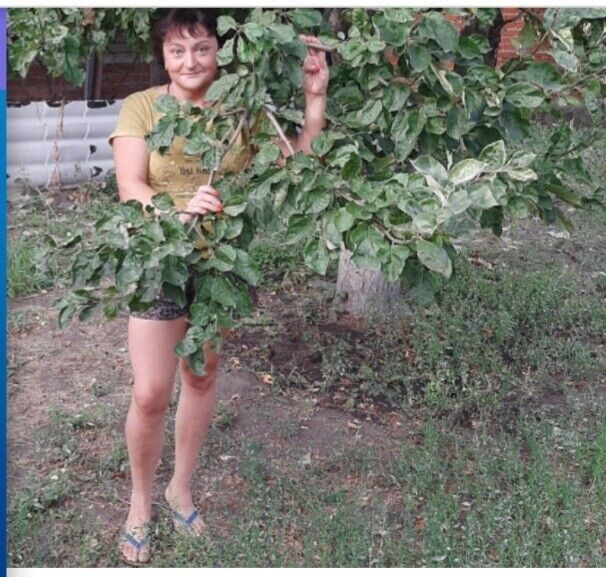  ,   , 50 ,   , 