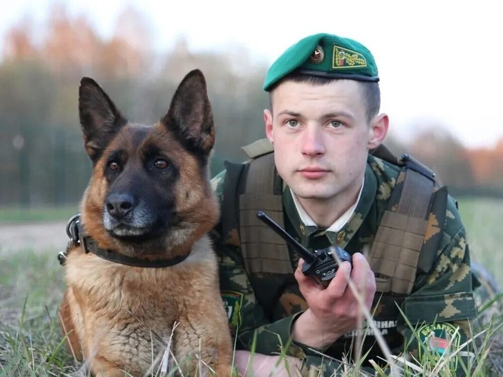 ���� 42563712 ������� ����, 37 ���, ���� ���������� � �������