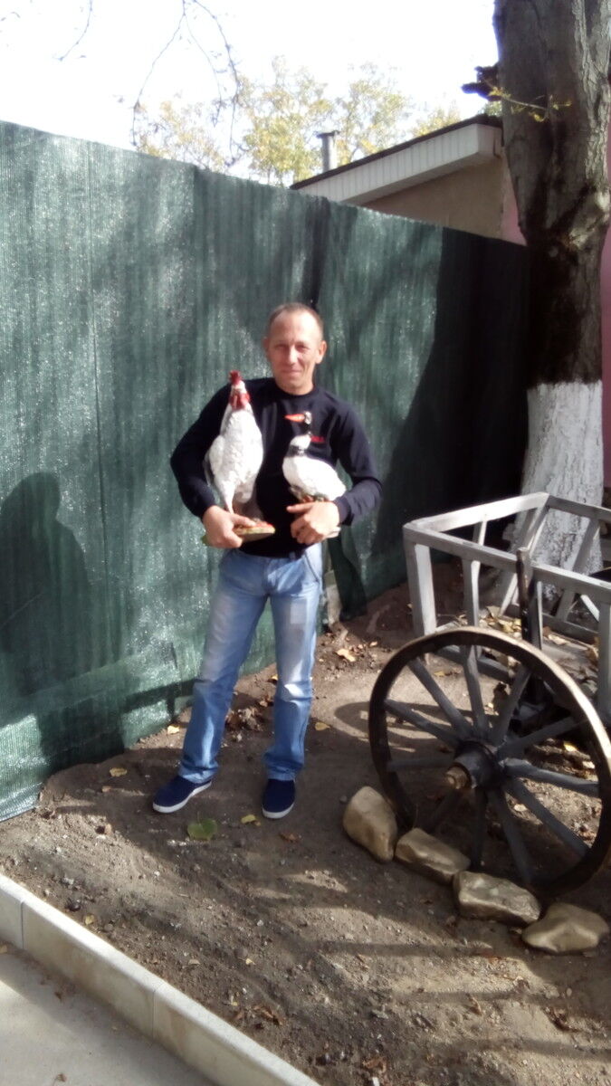  ,   , 49 ,   