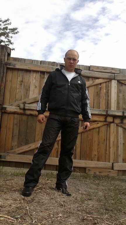  8731762  , 36 ,    -