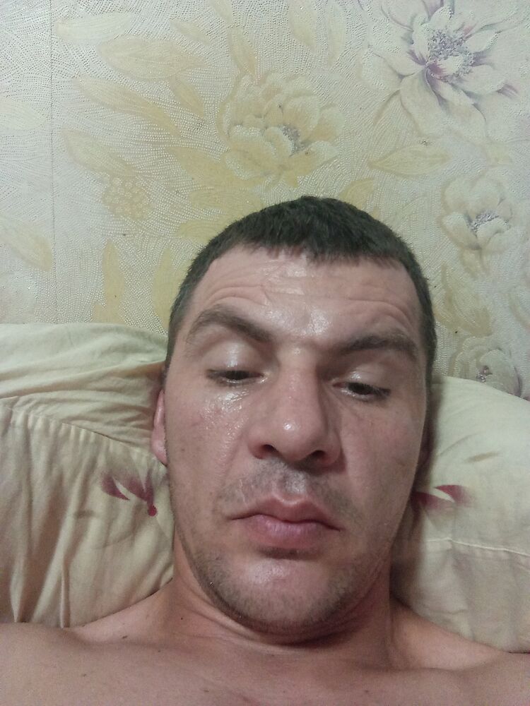  53463502  , 38 ,    