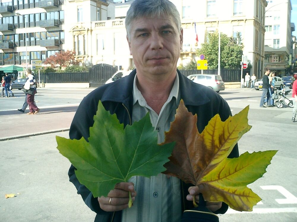  -,   , 66 ,   