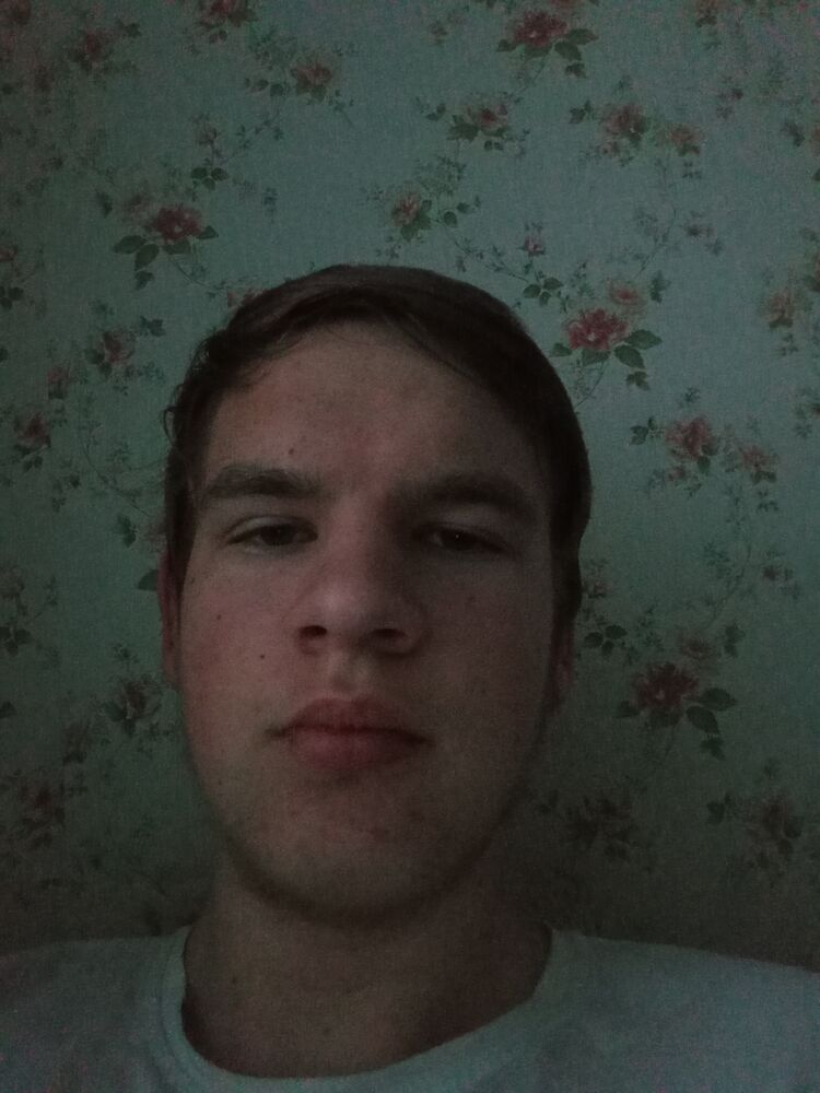  24310772  , 22 ,    