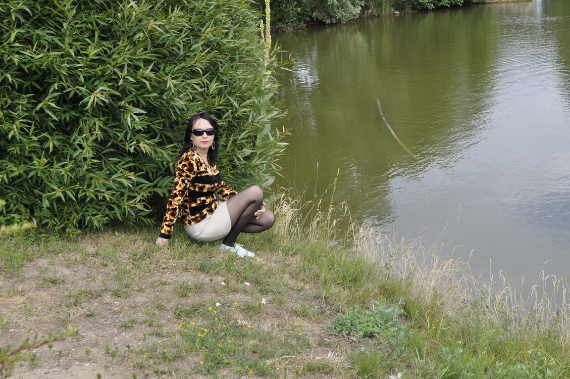  ,   , 43 ,  
