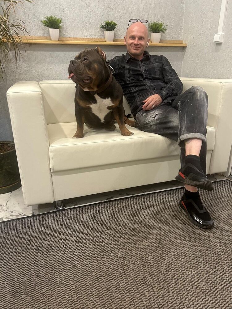 ���� 54963412 ������� ������, 45 ���, ���� ���������� � ������