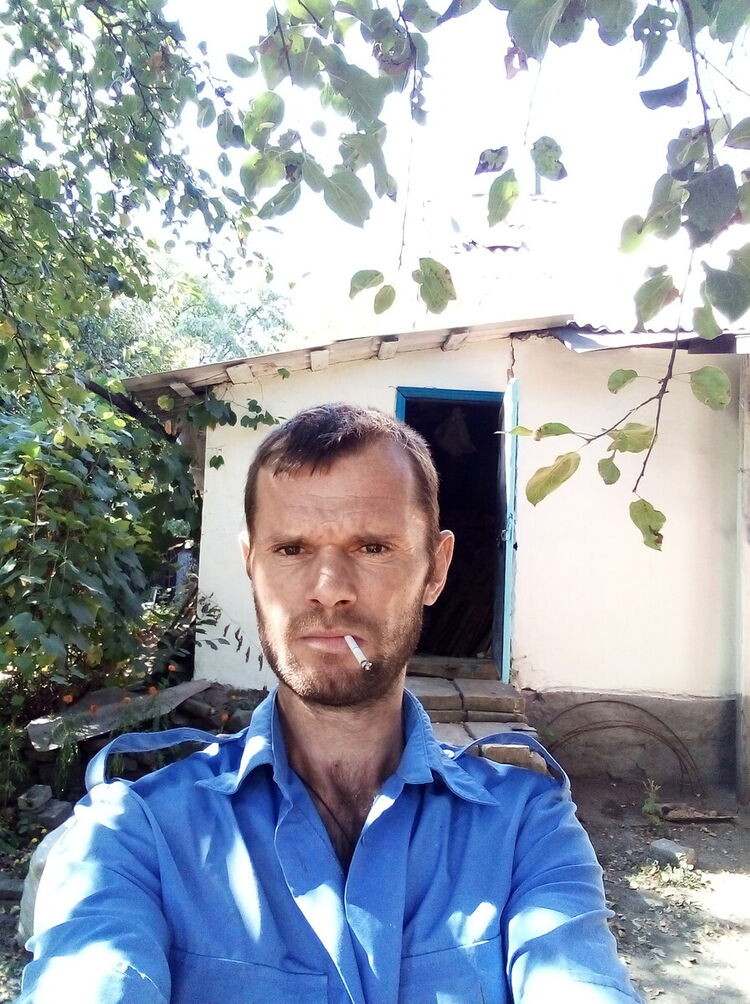  21652662  , 43 ,    