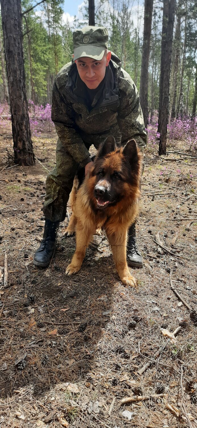 ���������� �������, ���� ������� ����, 31 ���, ������������ ��� ������, ����� � ���������