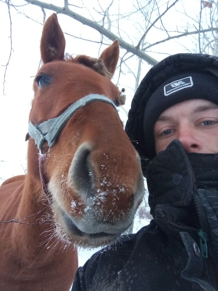 ���������� ����, ���� ������� ����������, 31 ���, ������������ ��� ����� � ���������, c�������� ���������