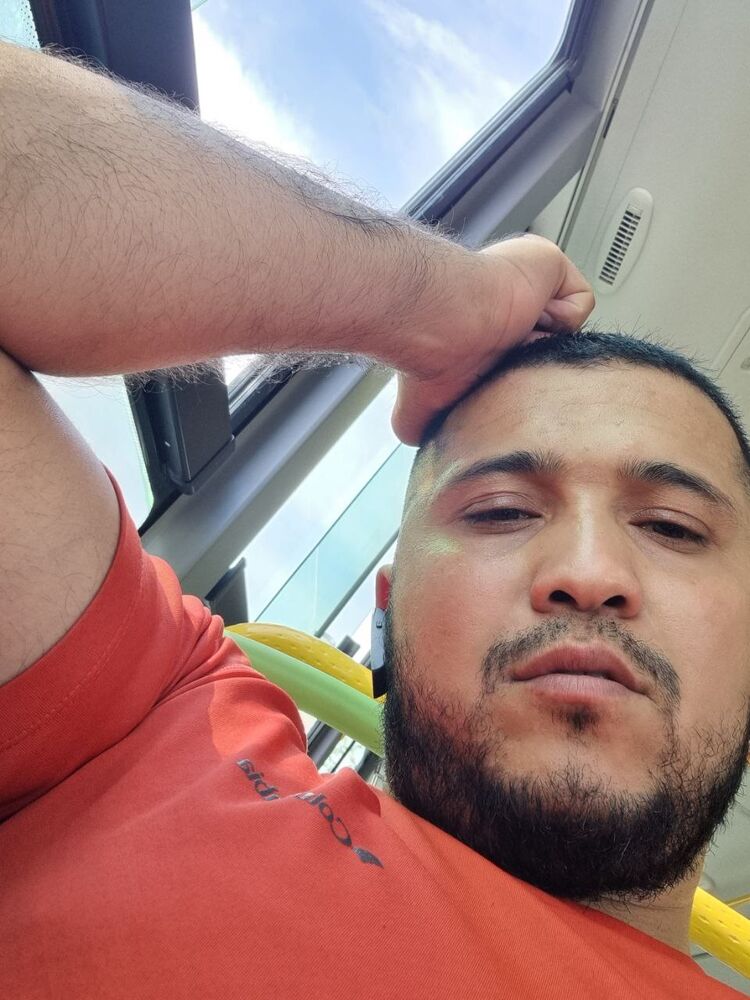  45686912  Zub, 33 ,    