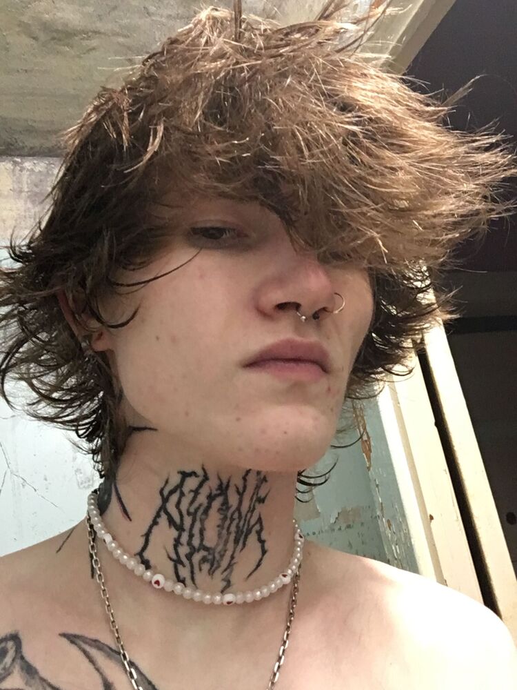  49130332  , 22 ,    
