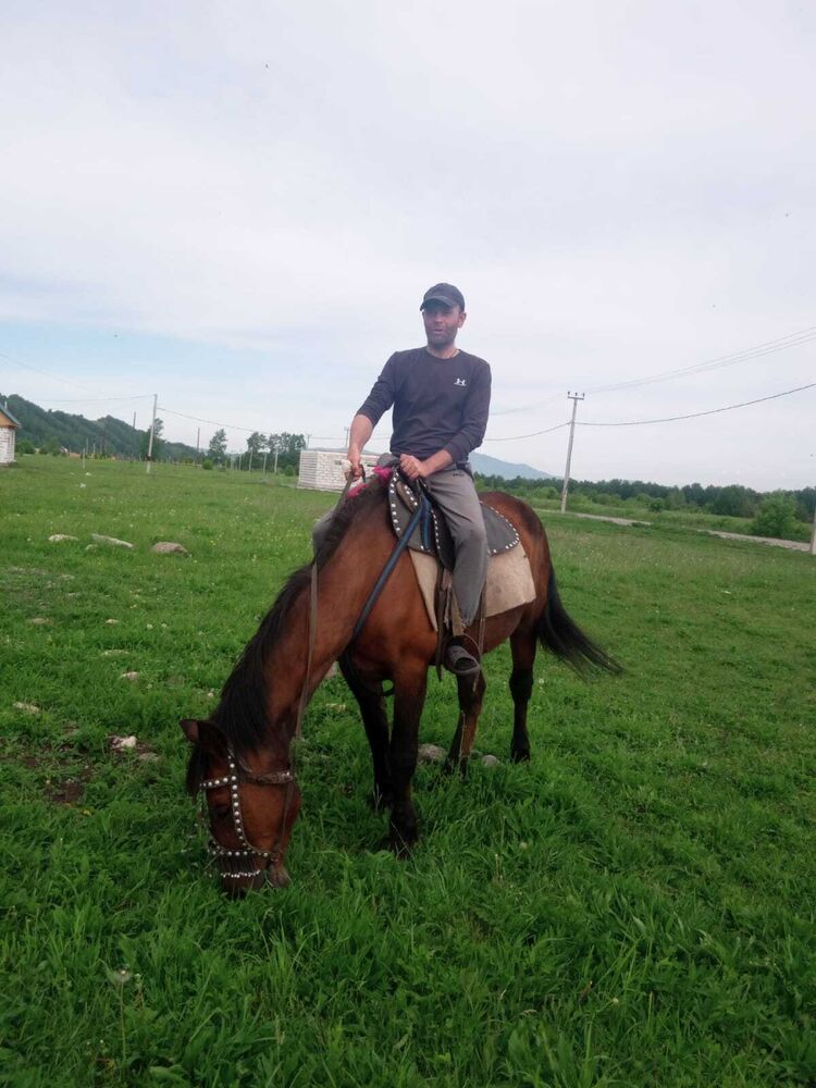 ���� 49269462 ������� �������, 38 ���, ���� ���������� � ������