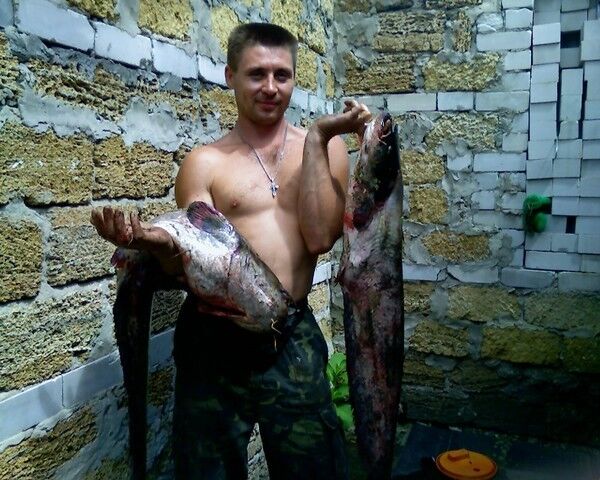 ���� 5046212 ������� A�����, 53 ����, ���� ���������� � �����