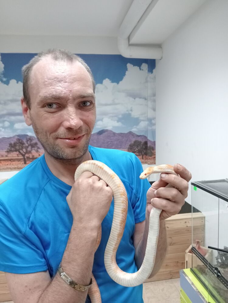  ,   , 45 ,   ,   