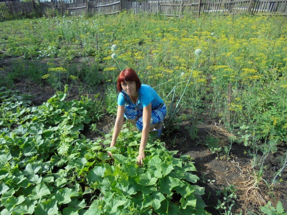 ���������� �������, ���� ������� ������, 51 ���, ������������ ��� ������, ����� � ���������