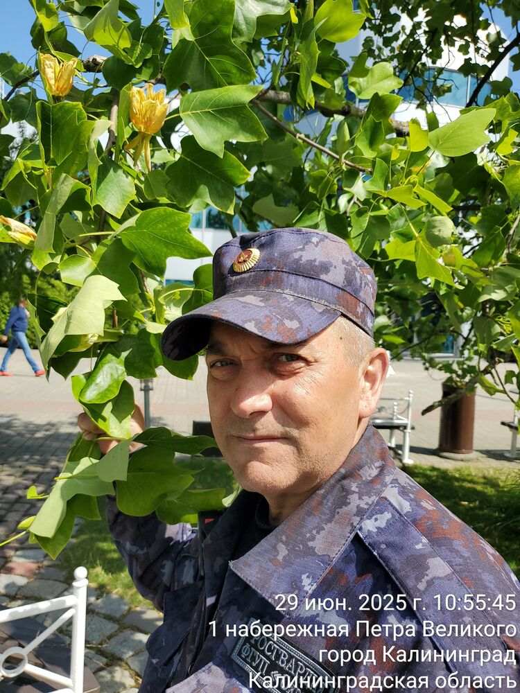 ���������� �����������, ���� ������� �������, 53 ����, ������������ ��� ������, ����� � ���������