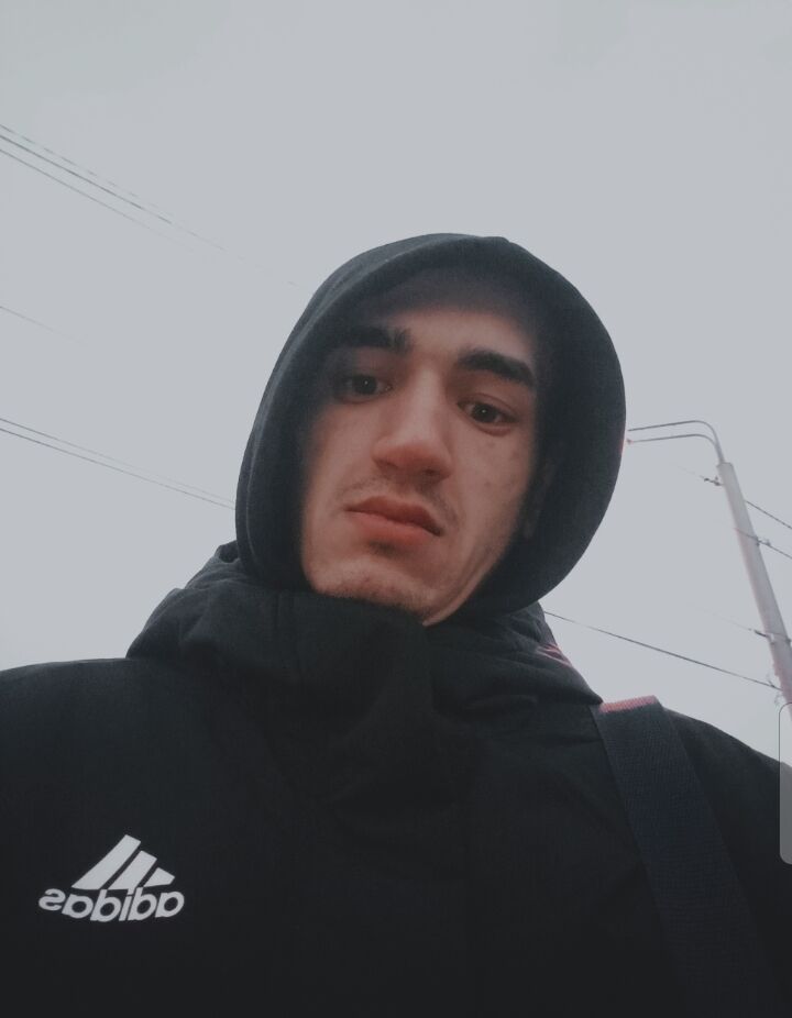  33547172  , 31 ,    