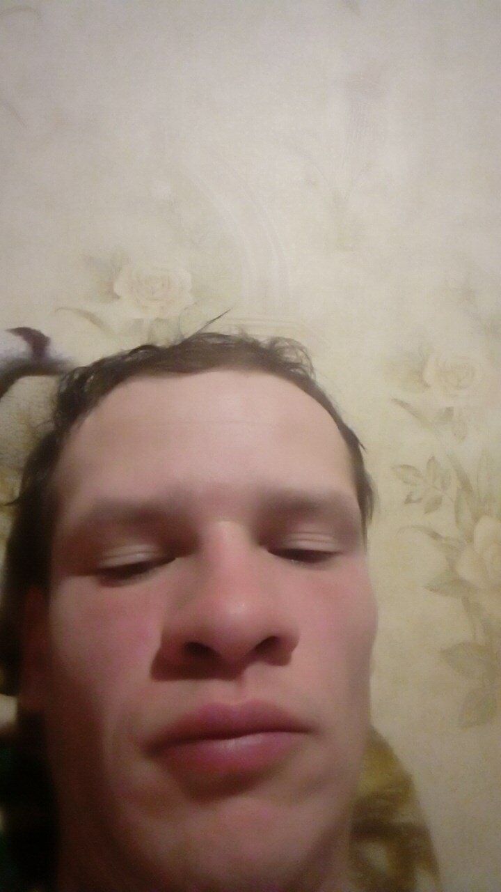  50491112  , 31 ,    
