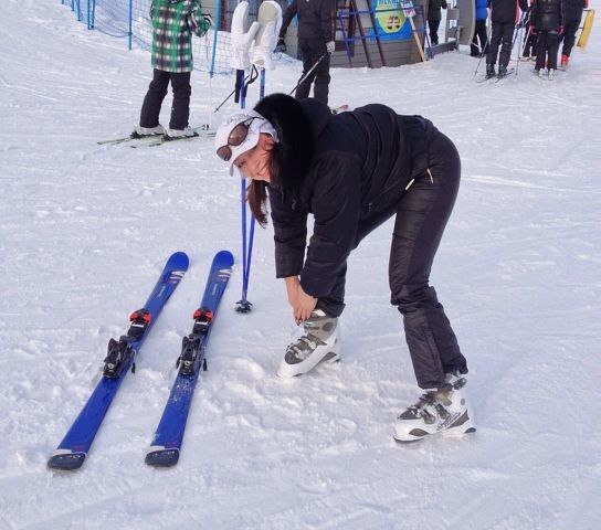 ���� 4078012 ������� Milla, 60 ���, ���� ���������� � ������