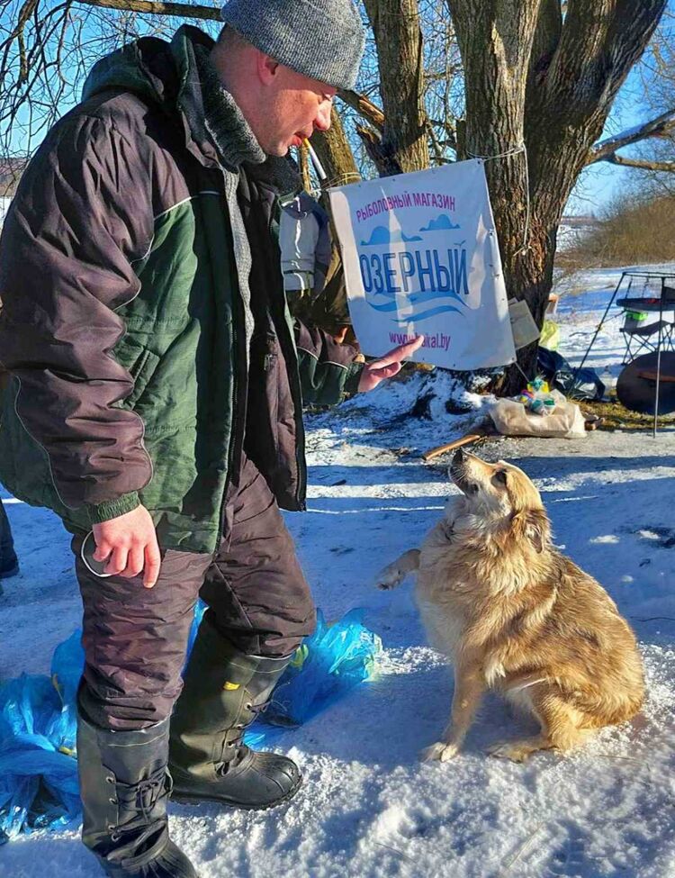 ���������� �����, ���� ������� ProNik, 44 ����, ������������ ��� ������, ����� � ���������, c�������� ���������