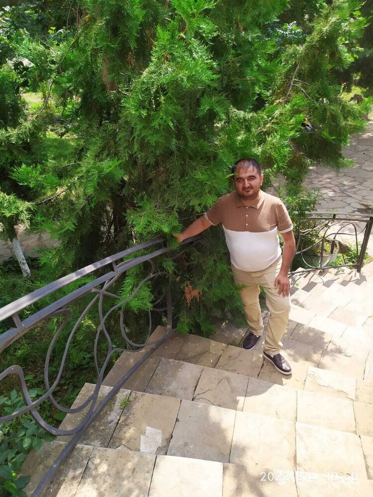  43551662  , 37 ,    -